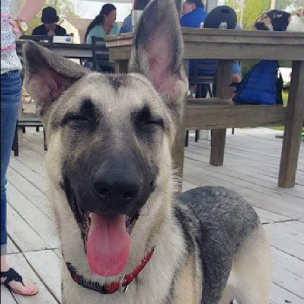 Meet your Posher, Jose